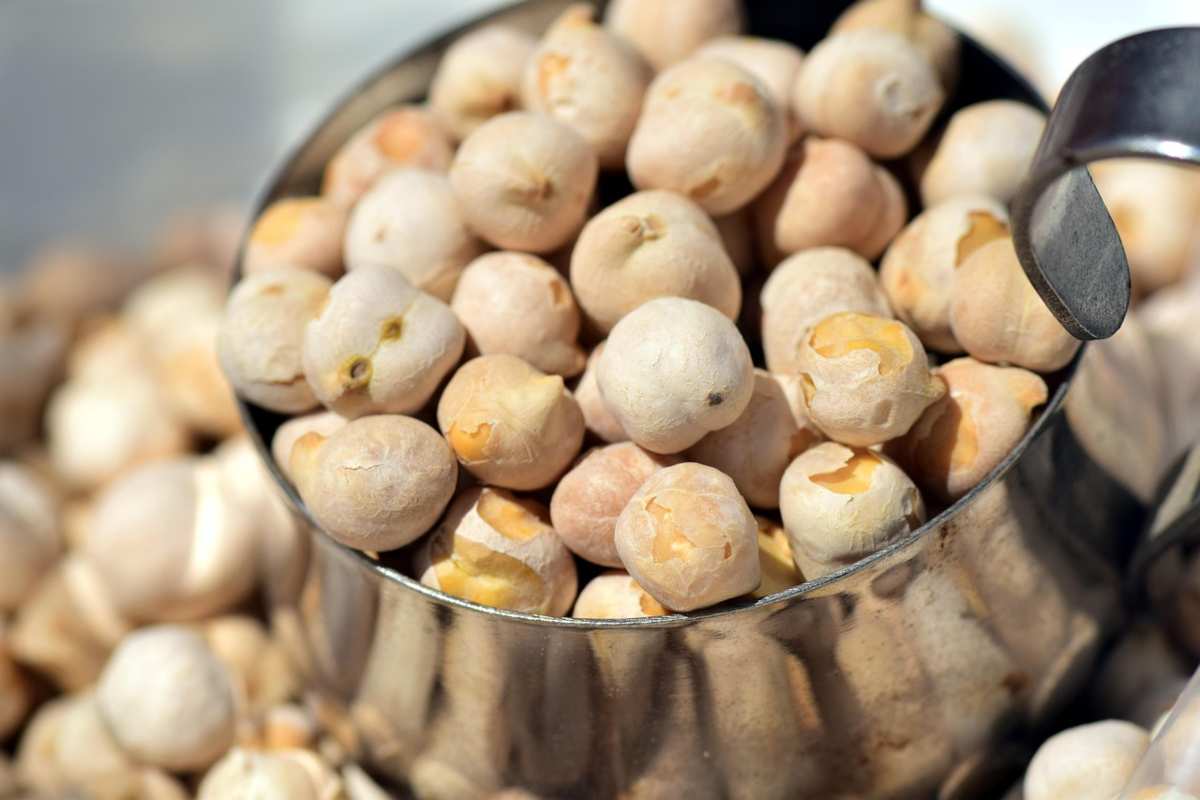 Non riuscirai più a farne a meno, queste polpette di ceci hanno conquistato tutti