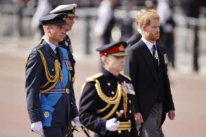 Harry e William della Royal Family