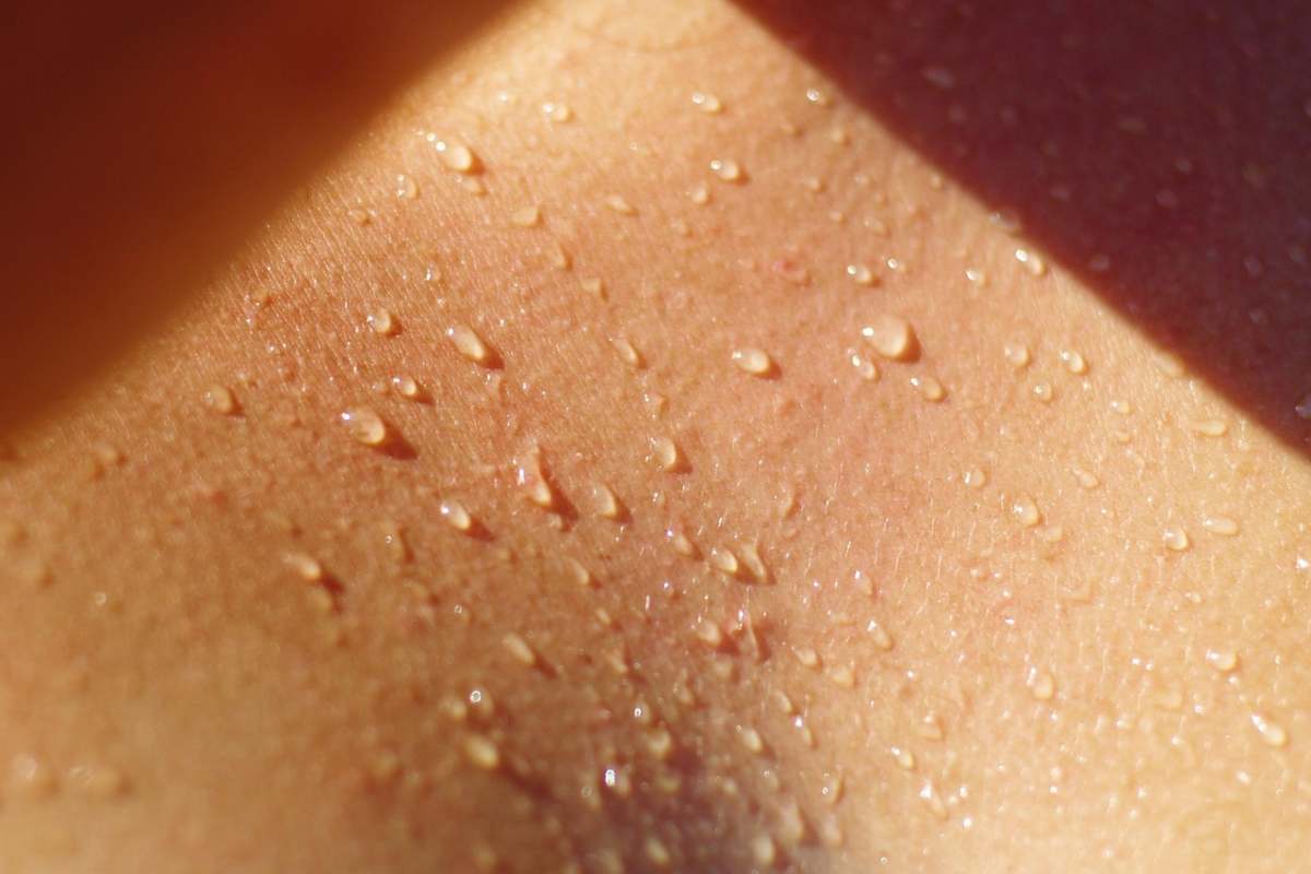 Il sudore non puzza, lo sapevi? Ecco da cosa dipende il cattivo odore Il sudore non puzza, lo sapevi? Ecco da cosa dipende il cattivo odore