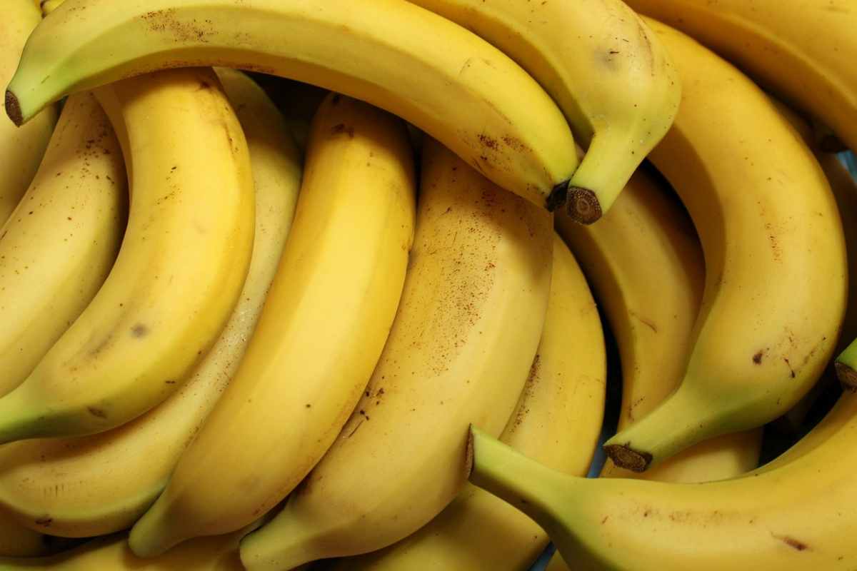 Il trucco per conservare le banane fino a 10 giorni: così non butti via nulla Il trucco per conservare le banane fino a 10 giorni: così non butti via nulla