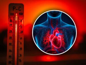 un cuore con vicino un termometro