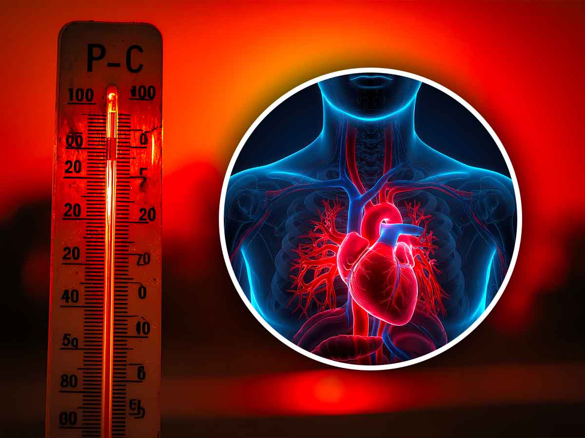 il consiglio dei esperti c8217232 un modo per proteggere il cuore dal caldo torrido