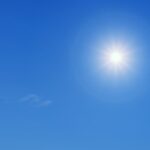 sole