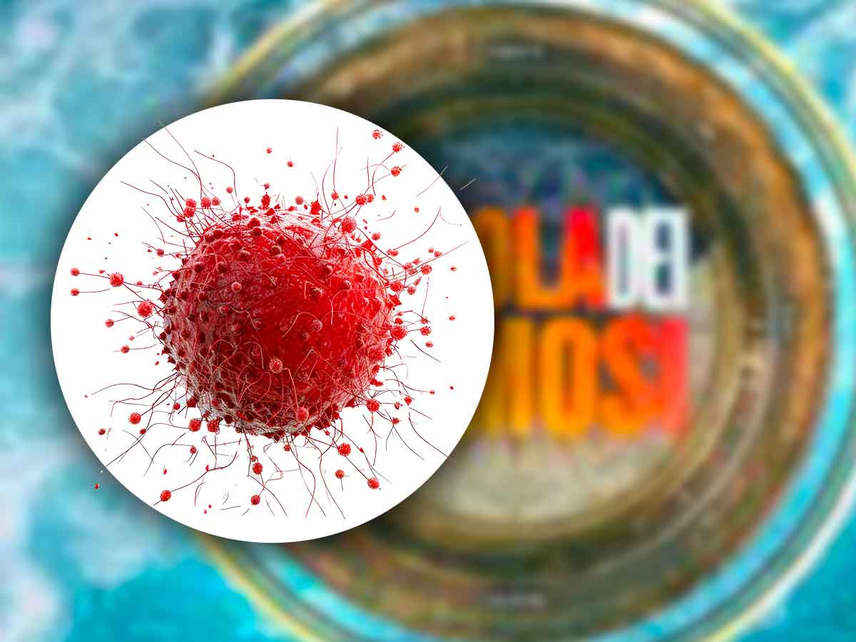 Tumore maligno dopo l’Isola dei Famosi: ex naufrago operato d’urgenza Tumore maligno dopo l’Isola dei Famosi: ex naufrago operato d’urgenza