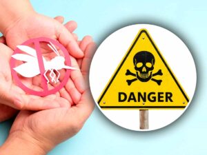 zanzara e pericolo virus