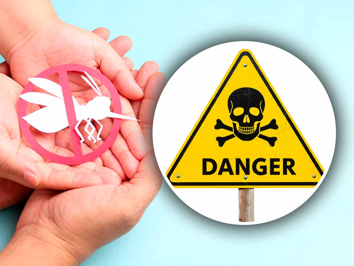 La zanzara che uccide, paura in tutta Italia: il Ministero avvisa, così ti puoi salvare La zanzara che uccide, paura in tutta Italia: il Ministero avvisa, così ti puoi salvare