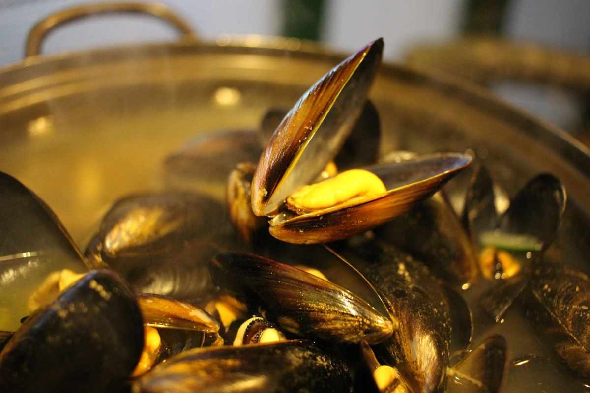 Zuppa di cozze