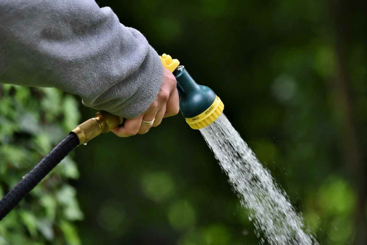 Acqua 