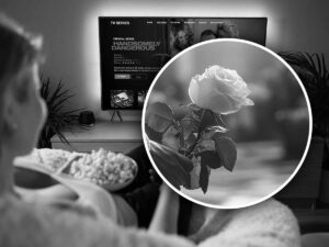 una rosa bianca in segno di lutto