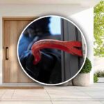 ladro forza la porta di una casa