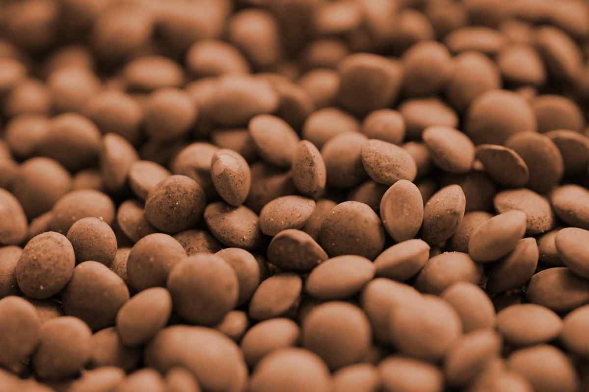 lenticchie