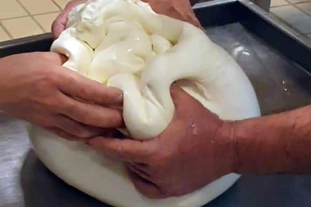 Mozzarella