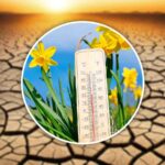 Termometro e suolo spaccato dal caldo
