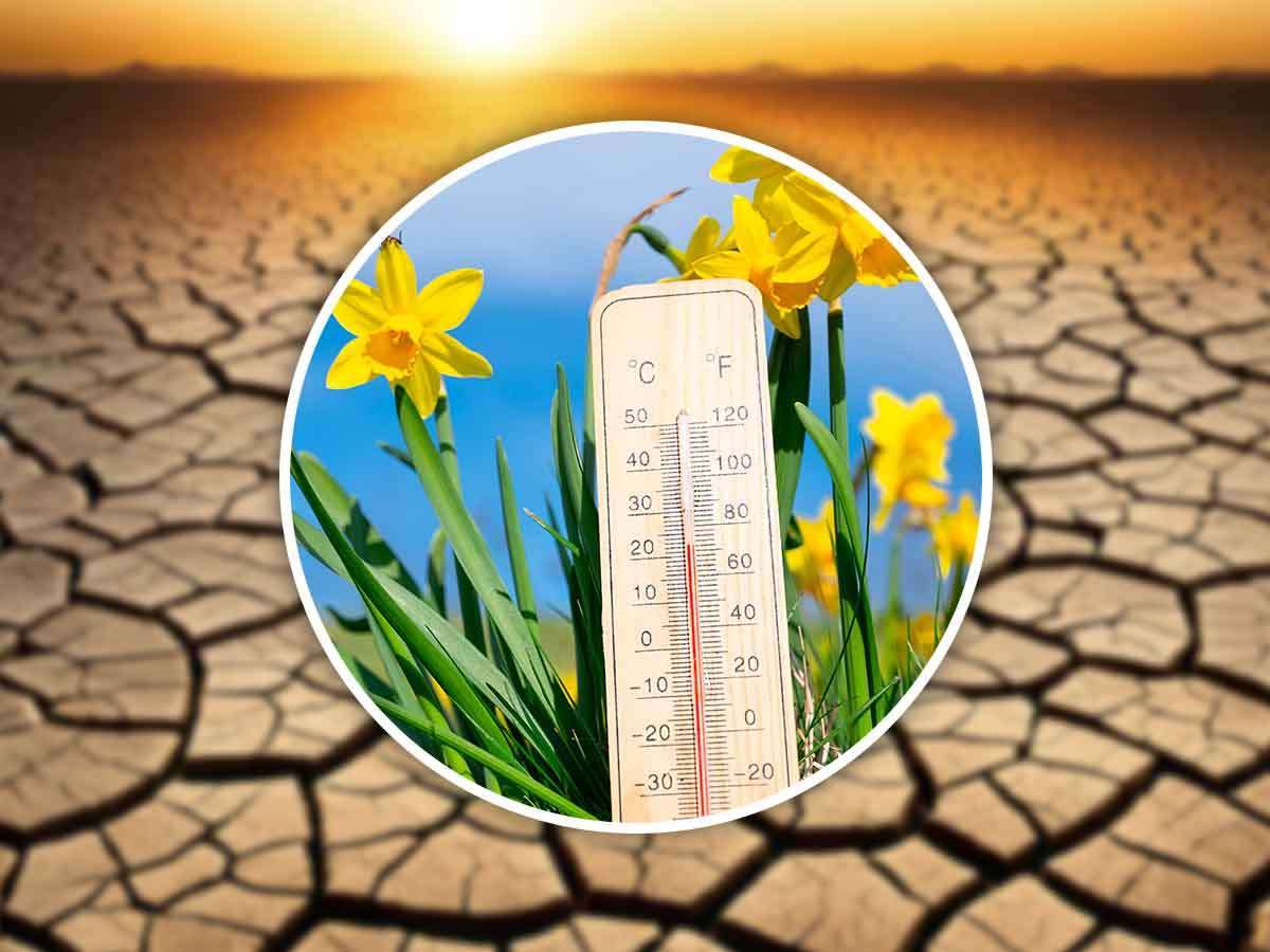 Caldo senza sosta in Italia, fino a questa data ci saranno temperature torride Caldo senza sosta in Italia, fino a questa data ci saranno temperature torride