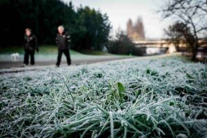 Persone che passeggiano in un parco dove l'erba è ghiacciata