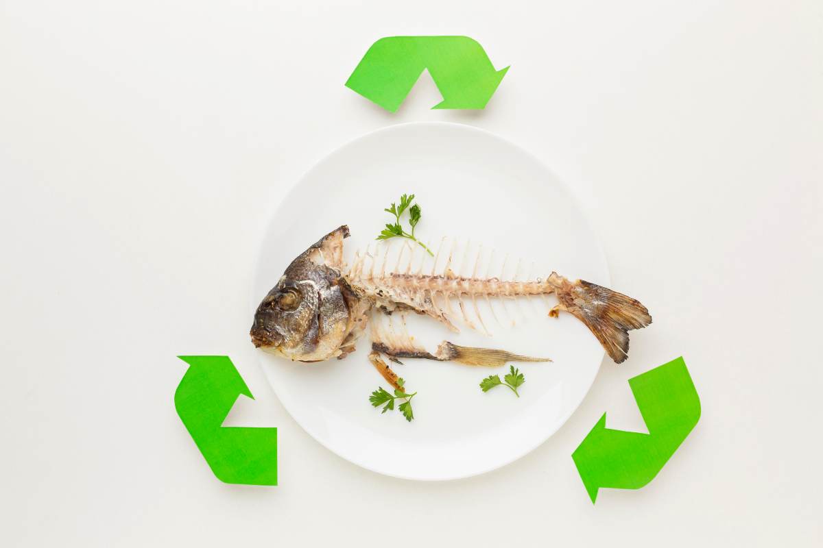 Scarti del pesce e simbolo del riciclo