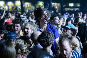 Fan ad un concerto