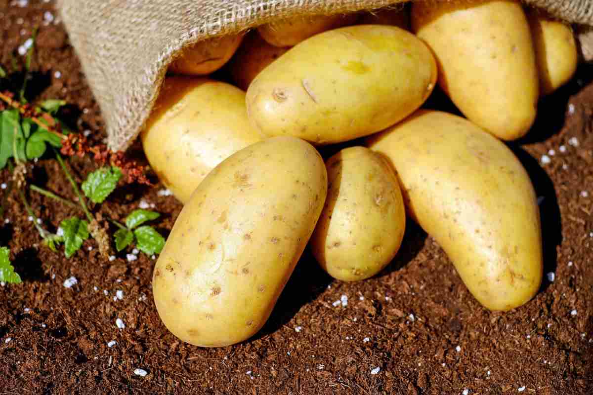 Finalmente ho capito come non far rovinare le patate, così non germogliano più