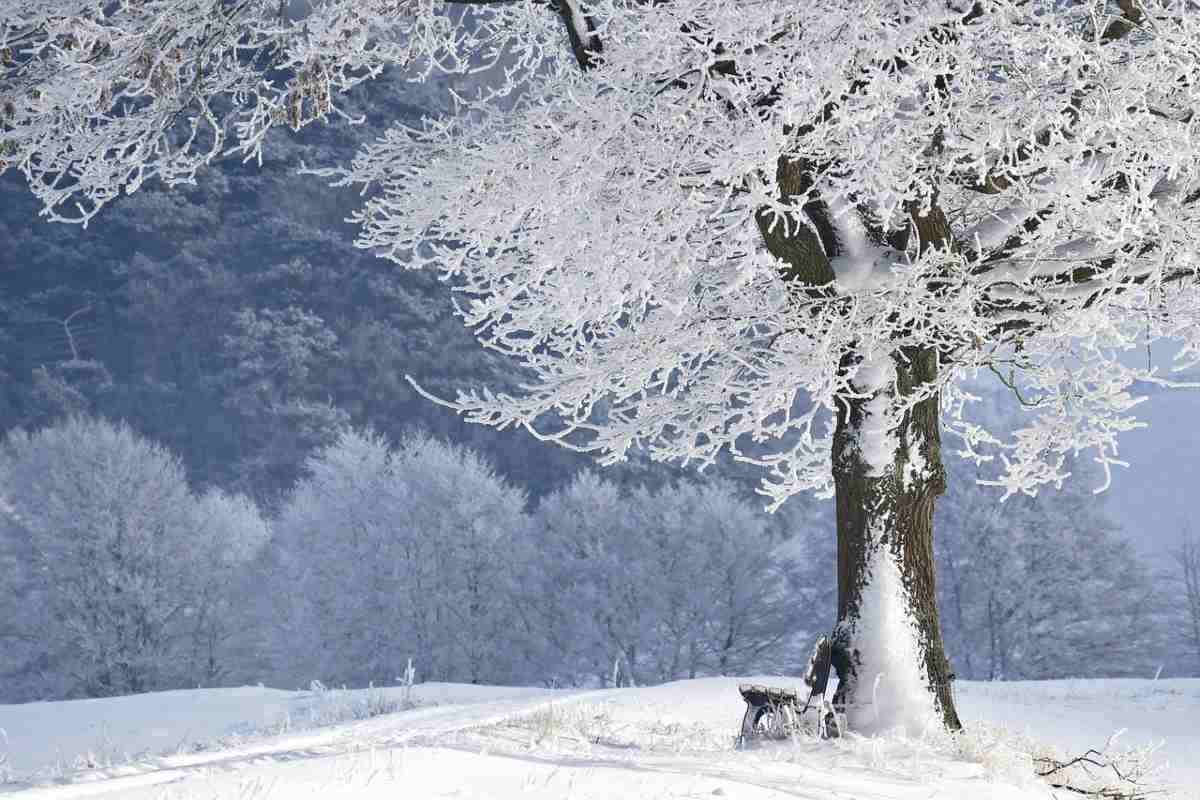 Paesaggio invernale