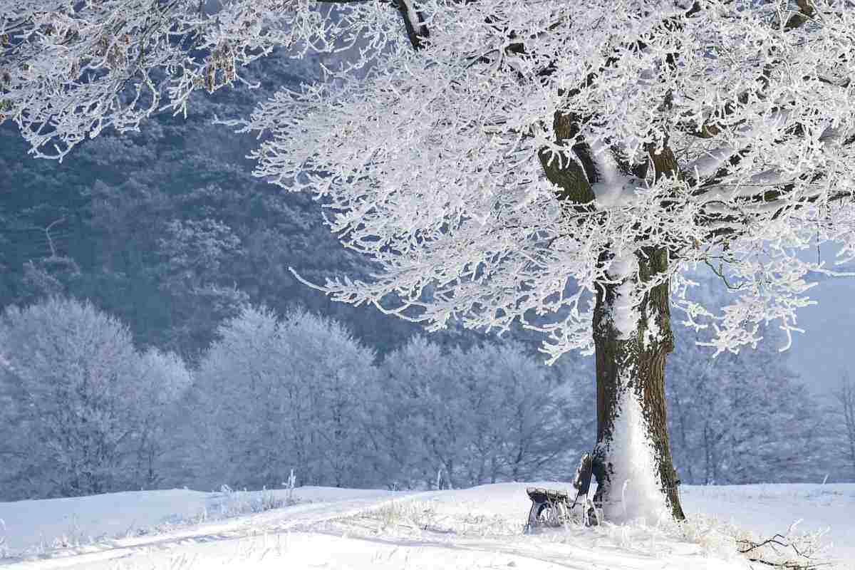 Paesaggio invernale con neve