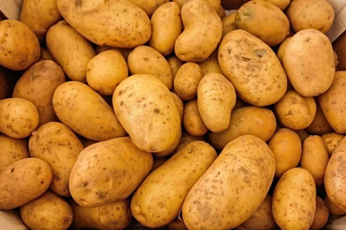 Cucinate così le patate ti risolvono la cena, non riuscirai a farne a meno