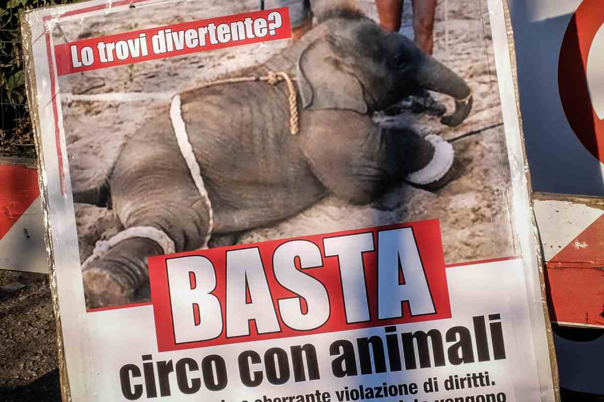 Protesta contro gli animali nel circo