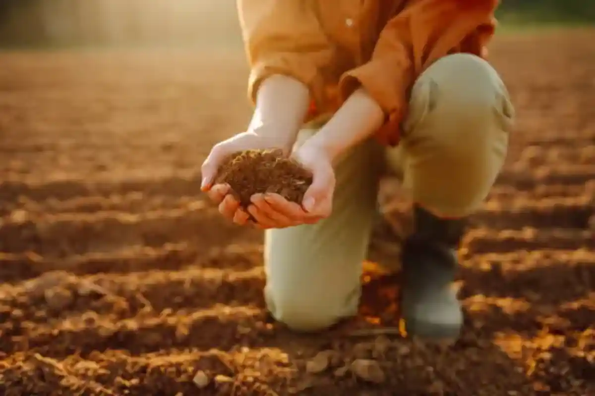 agricoltura