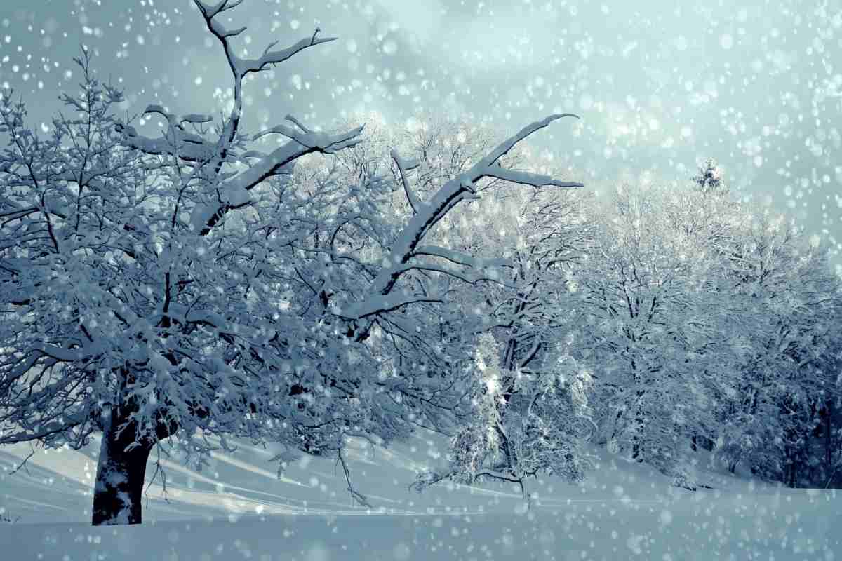 ma quale cappotto termico ecco la soluzione ideale per un inverno super
