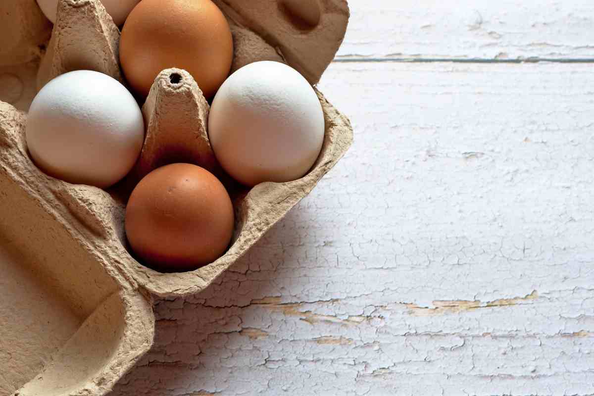 Possibile presenza di salmonella, riportate subito queste uova dove le avete comprate Possibile presenza di salmonella, riportate subito queste uova dove le avete comprate