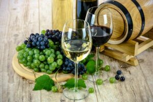 vini e vigneti