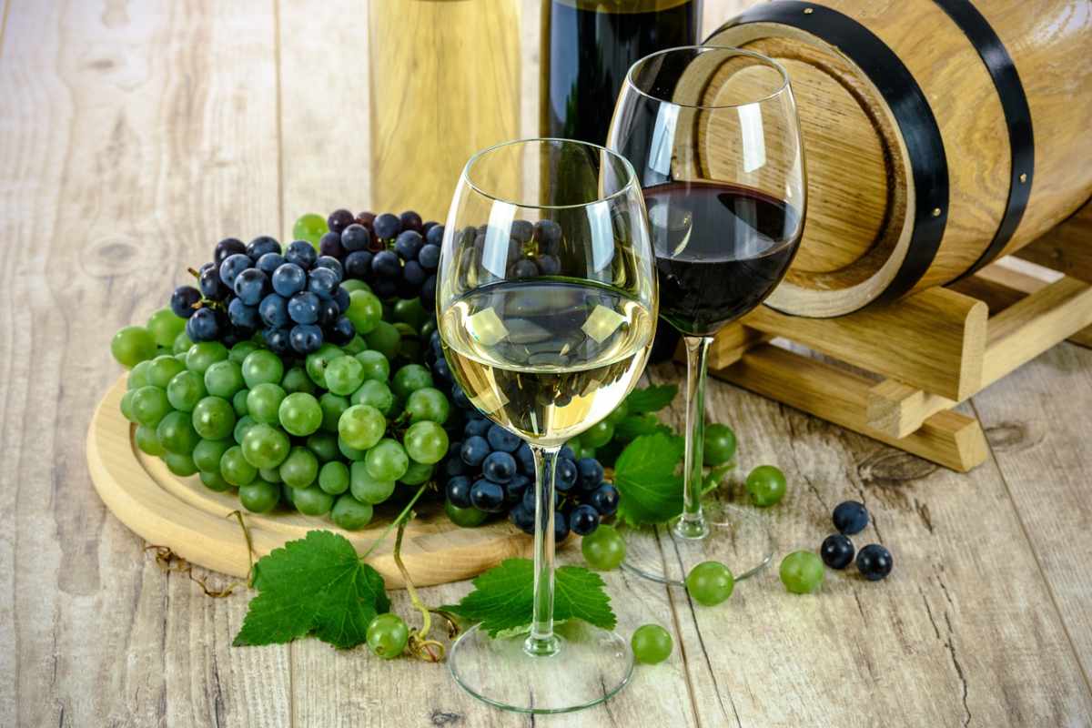 Ami i vini? Vai subito in questo posto: servono un’eccellenza europea Ami i vini? Vai subito in questo posto: servono un’eccellenza europea