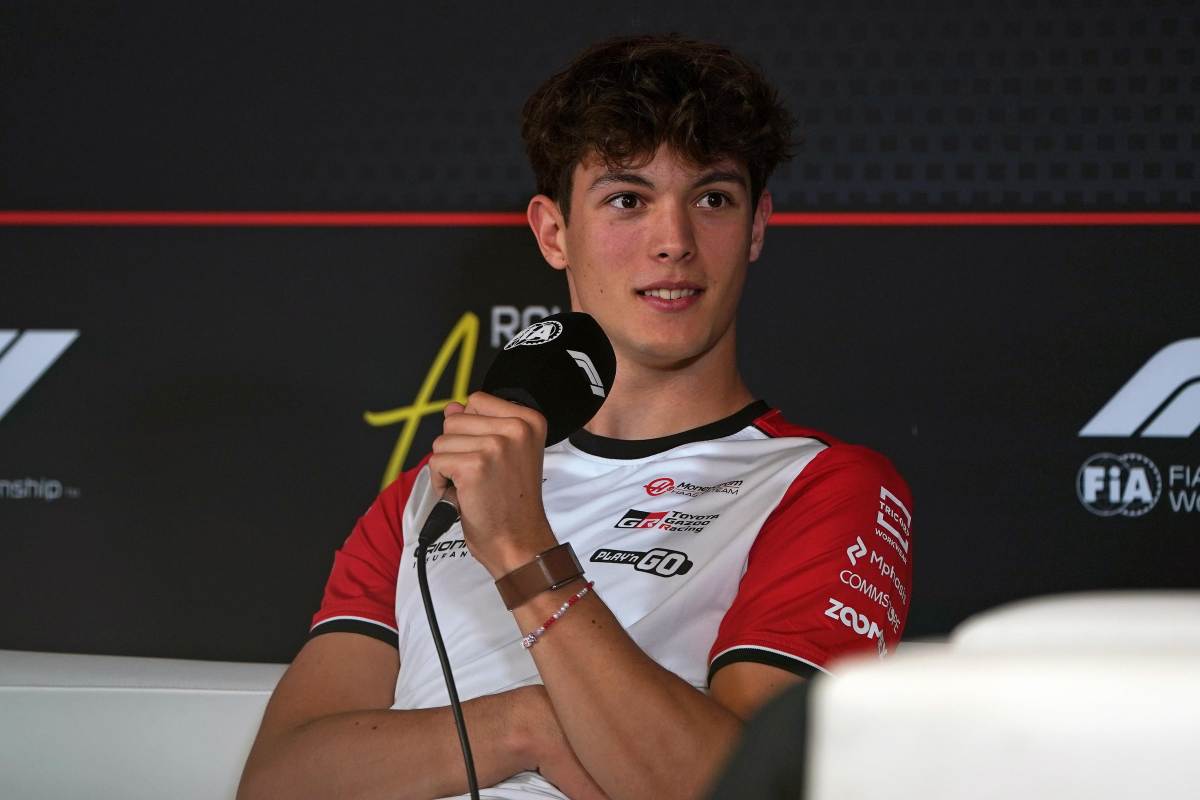 Bearman ai microfoni