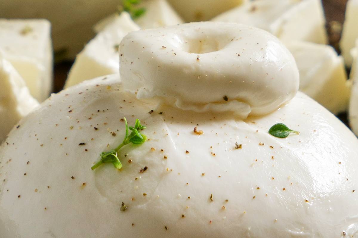 Se hai comprato questa burrata non mangiarla: è stata richiamata dal Ministero della Salute Se hai comprato questa burrata non mangiarla: è stata richiamata dal Ministero della Salute