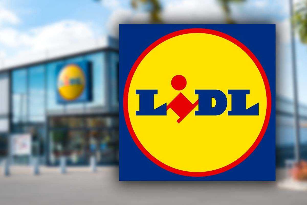 Offerta Lidl, così dai nuova vita alla casa: che occasione Offerta Lidl, così dai nuova vita alla casa: che occasione