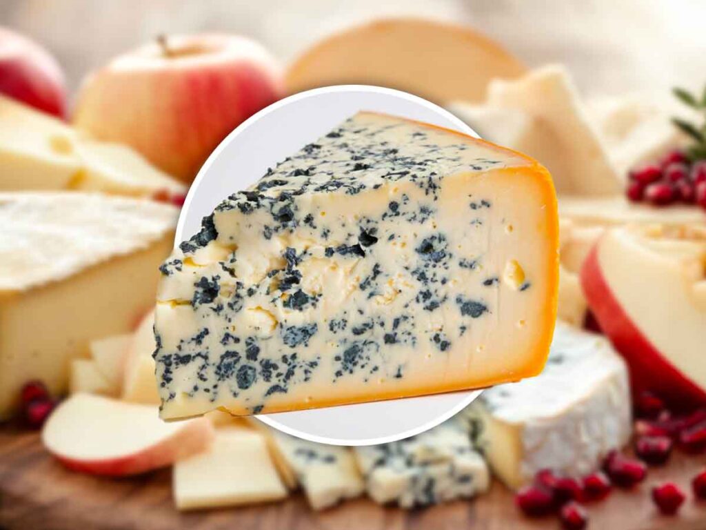 una fetta di formaggio con la muffa