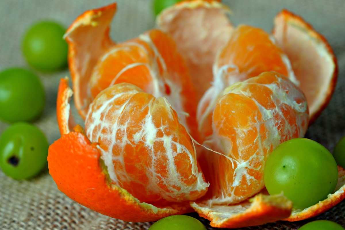 Se mangi così gli agrumi commetti un grave errore: cambia subito abitudine Se mangi così gli agrumi commetti un grave errore: cambia subito abitudine