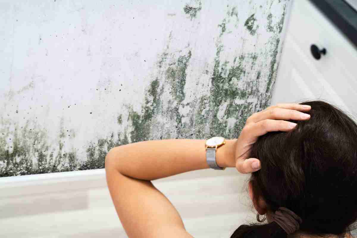 Esiste un trucco per far sparire la muffa da casa: incredibile