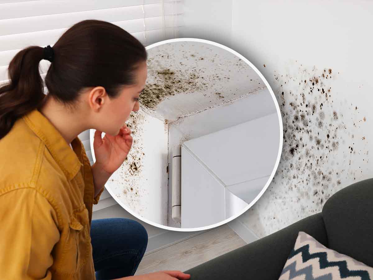 una donna osserva la muffa sui muri