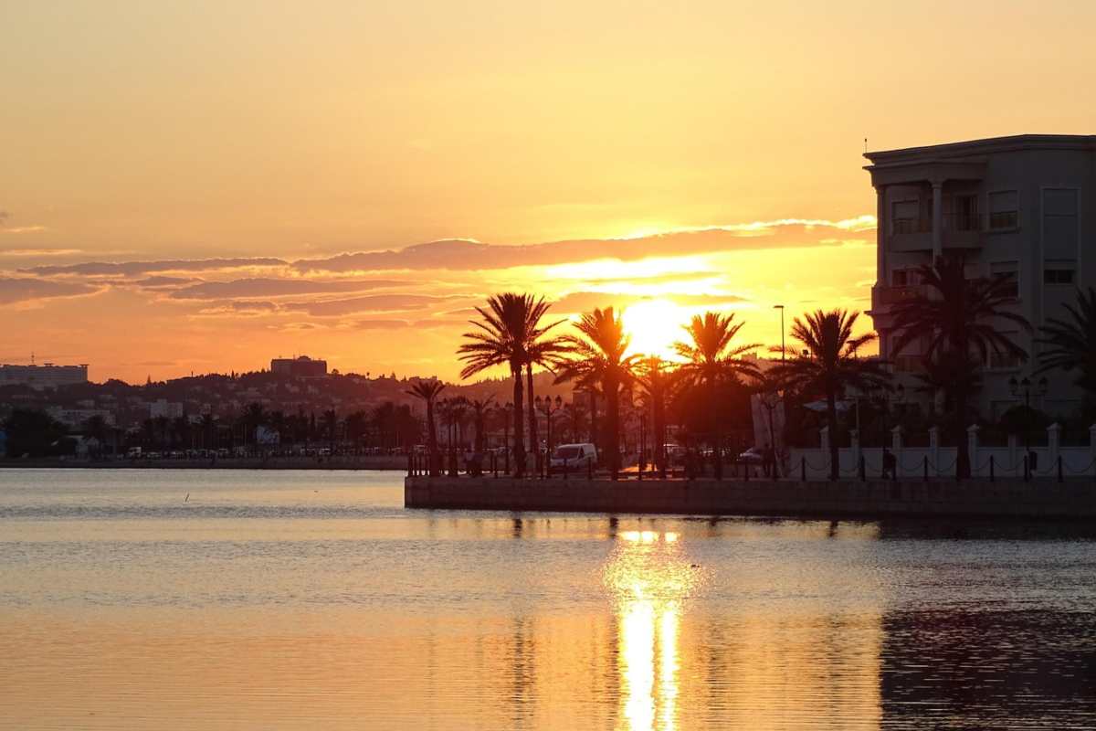 Immagine del lago di Tunisi